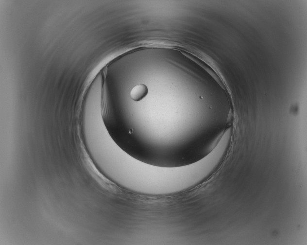 X0000114691195200911121511