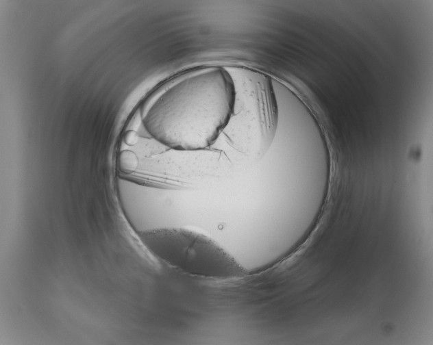 X0000114691196200911121511