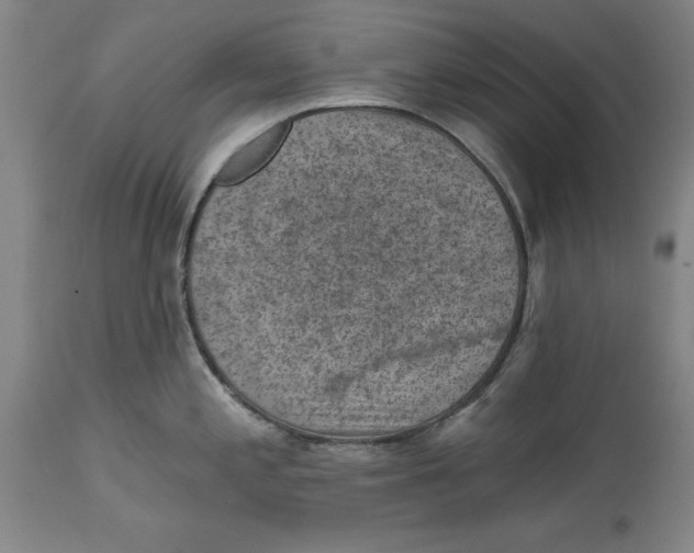 X0000114691197200911121511