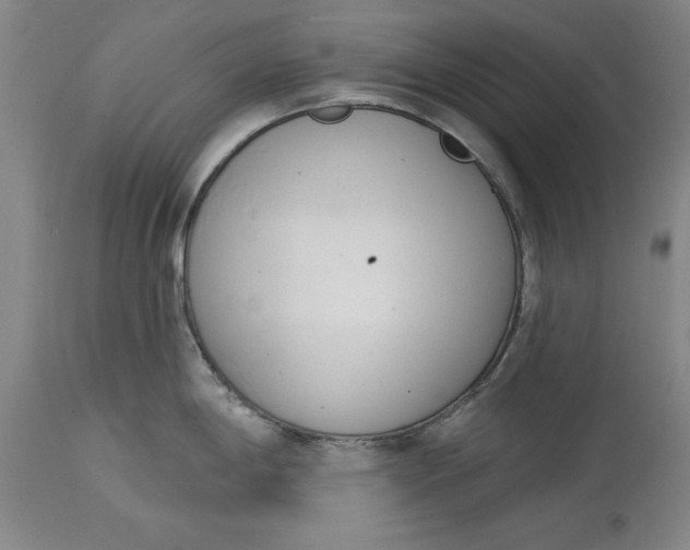 X0000114691198200911121511