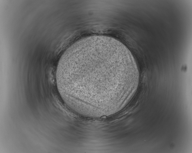 X0000114691202200911121511