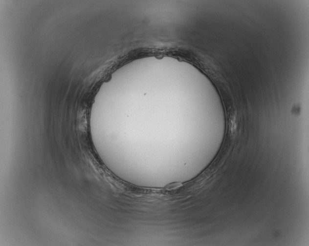 X0000114691204200911121511