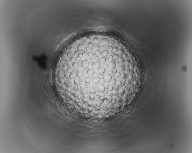 X0000114691205200911121511