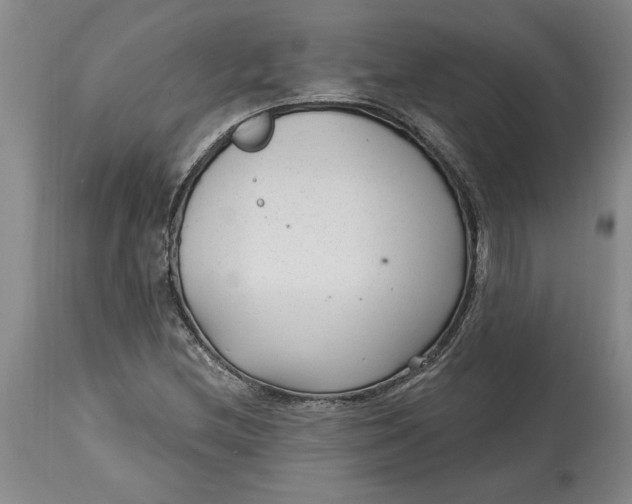 X0000114691212200911121511