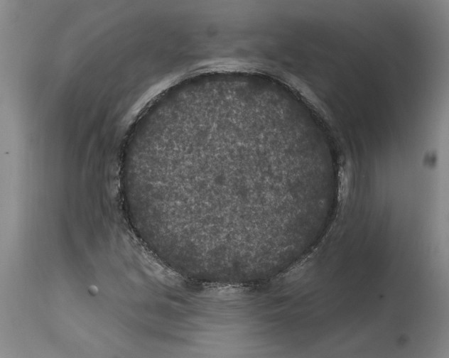 X0000114691213200911121511