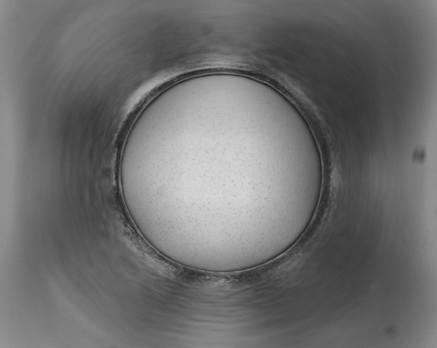 X0000114691222200911121511