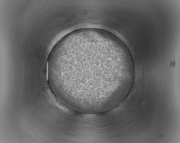 X0000114691223200911121511