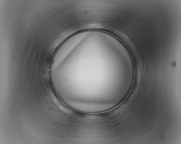 X0000114691225200911121511