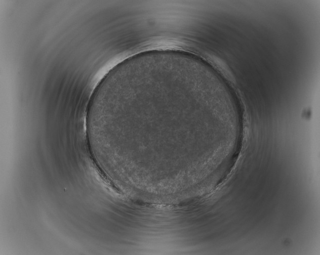 X0000114691226200911121511