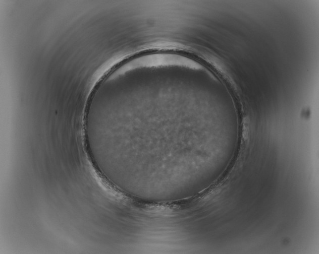 X0000114691229200911121511