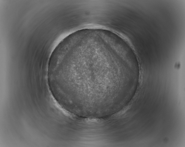 X0000114691231200911121511