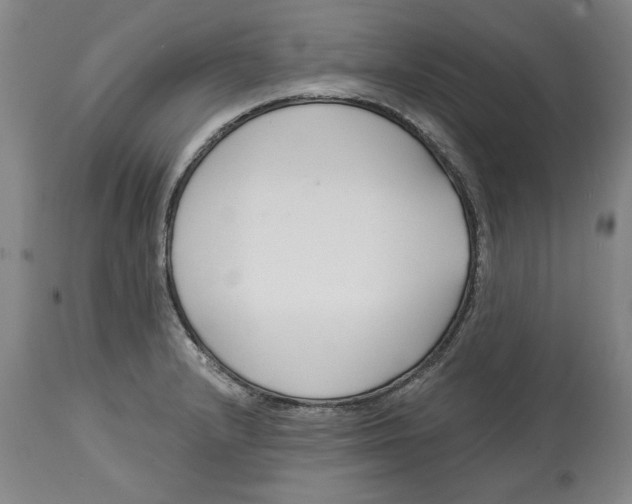 X0000114691232200911121511