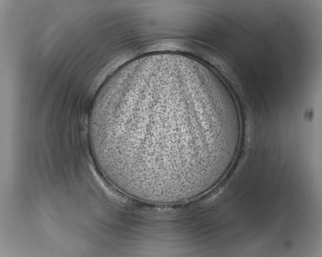 X0000114691233200911121511