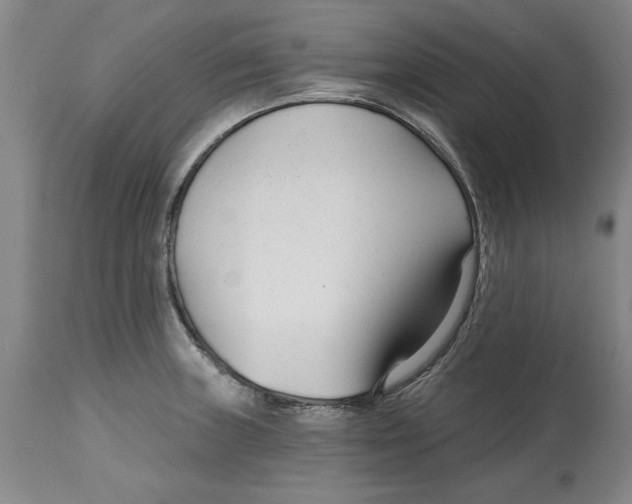 X0000114691235200911121511