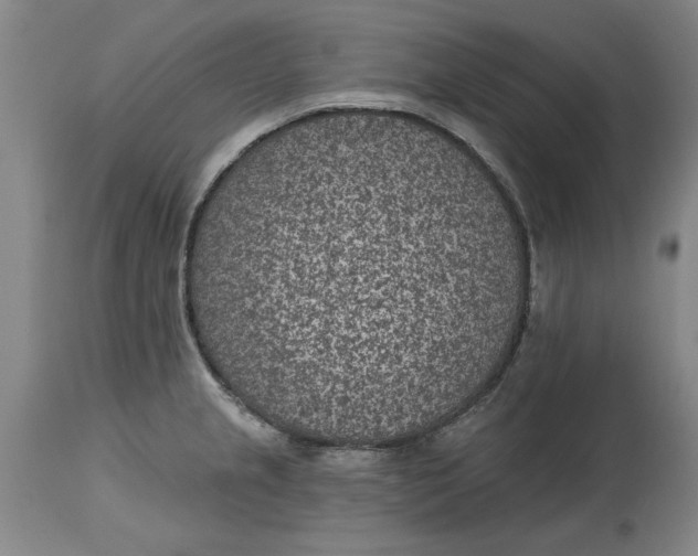 X0000114691237200911121511