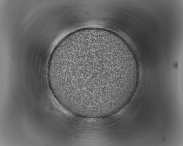 X0000114691240200911121511