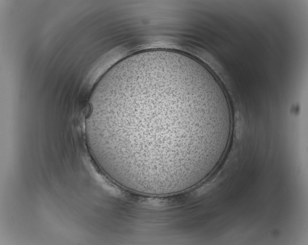 X0000114691241200911121511