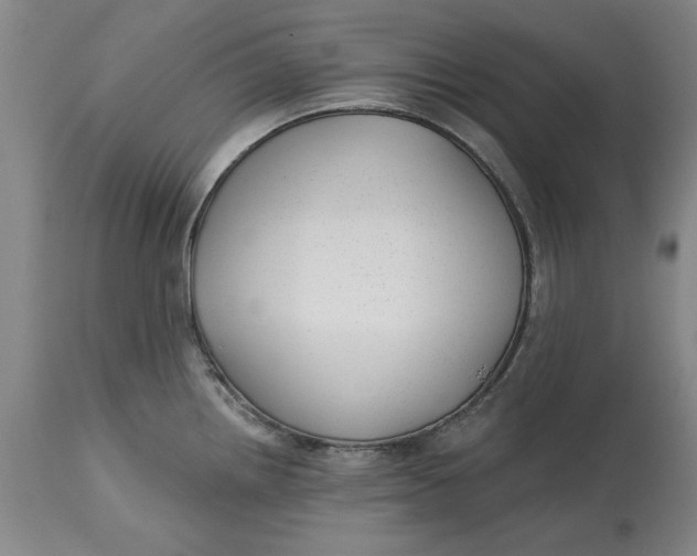 X0000114691242200911121511