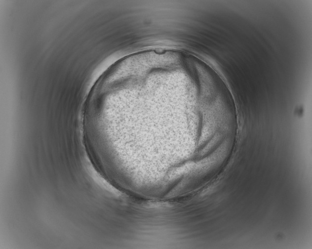 X0000114691243200911121511