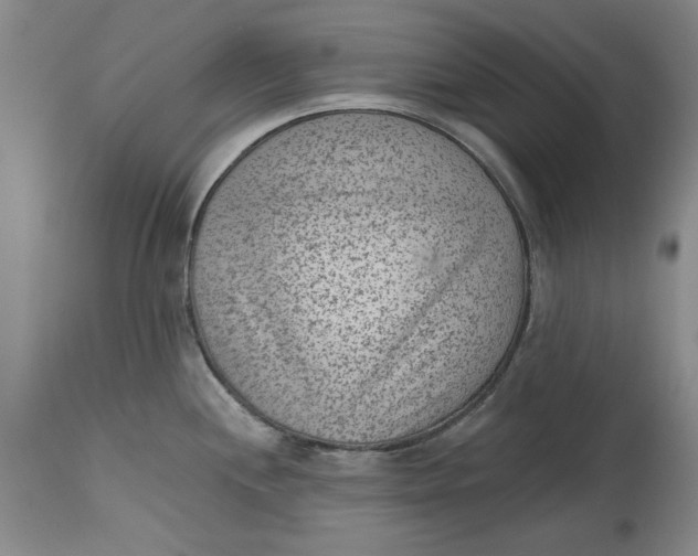 X0000114691244200911121511