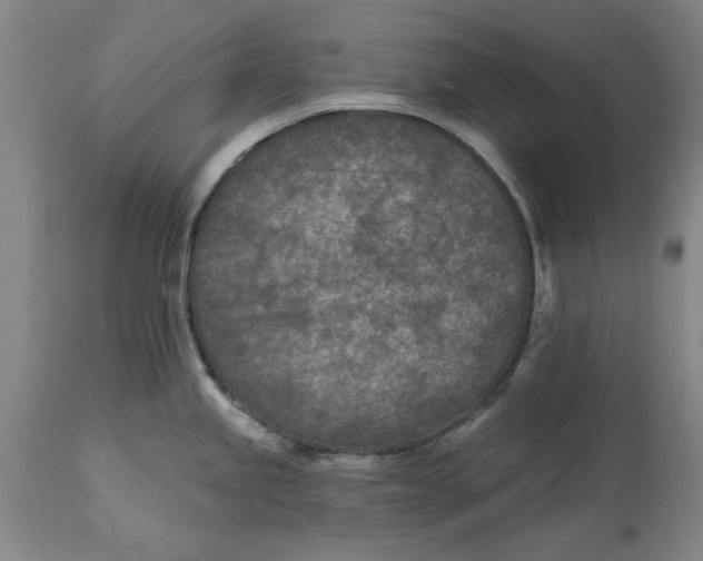 X0000114691245200911121511