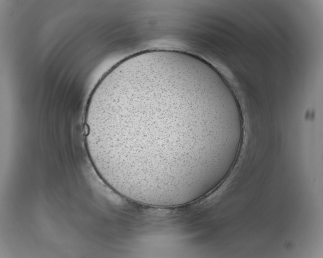 X0000114691248200911121511