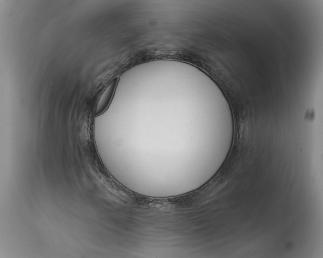 X0000114691250200911121511