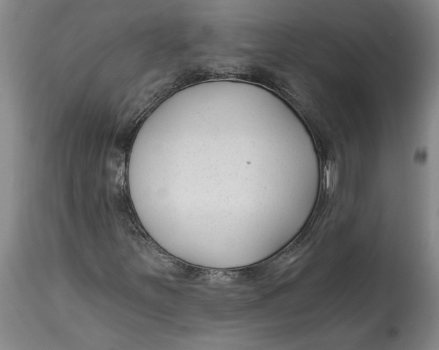 X0000114691251200911121511