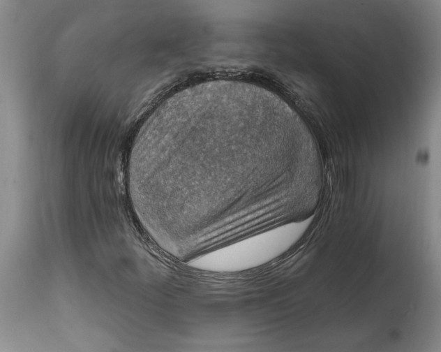 X0000114691252200911121511