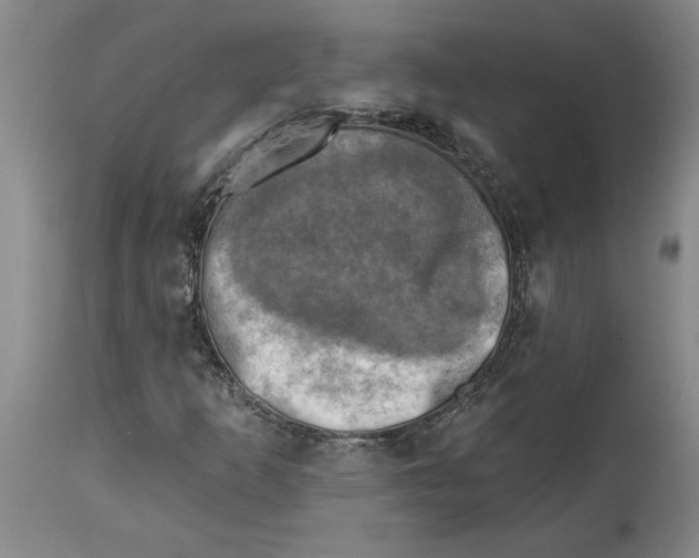 X0000114691253200911121510