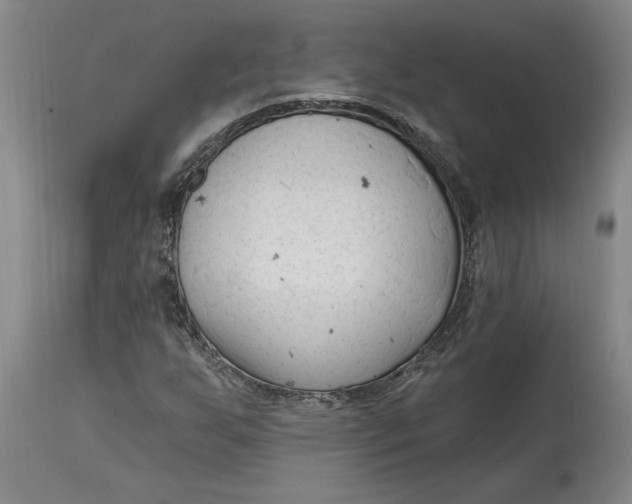 X0000114691255200911121510