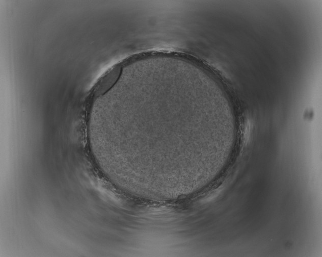 X0000114691256200911121510