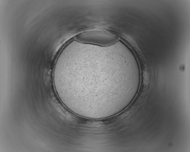 X0000114691260200911121510