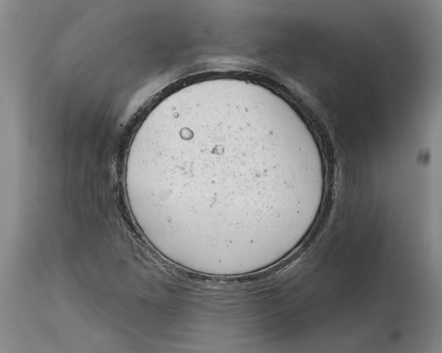 X0000114691261200911121510