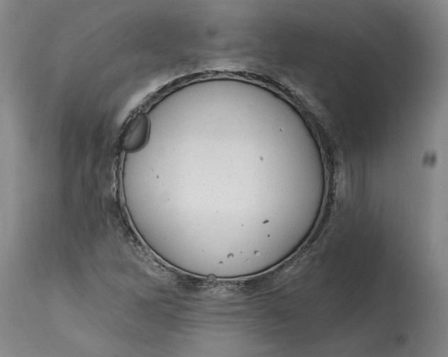 X0000114691262200911121510