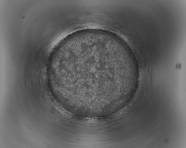 X0000114691263200911121510