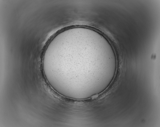 X0000114691264200911121510