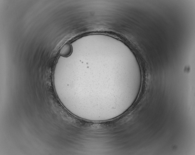 X0000114691265200911121510