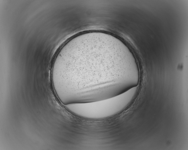 X0000114691268200911121510