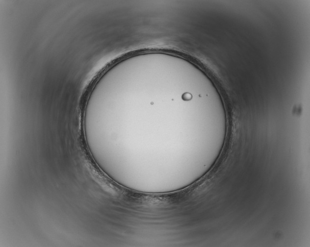 X0000114691270200911121510