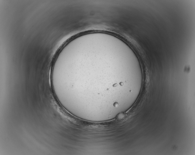 X0000114691272200911121510