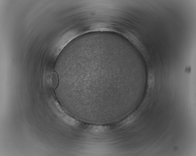 X0000114691273200911121510