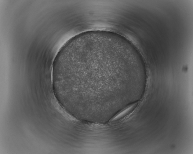 X0000114691275200911121510