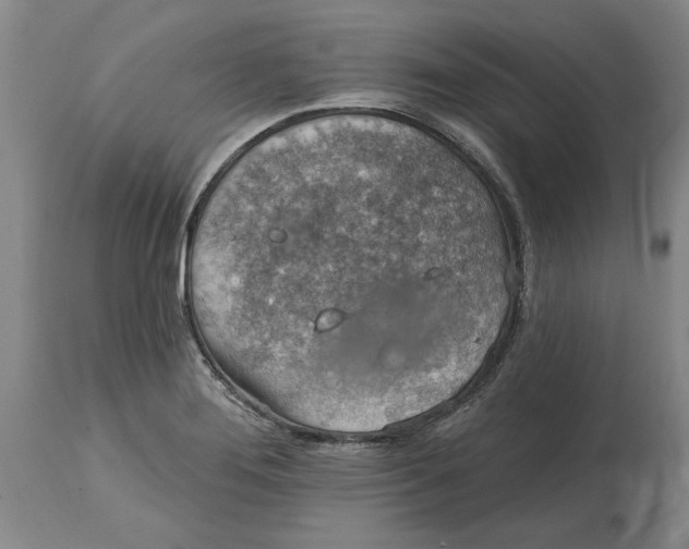 X0000114691276200911121510