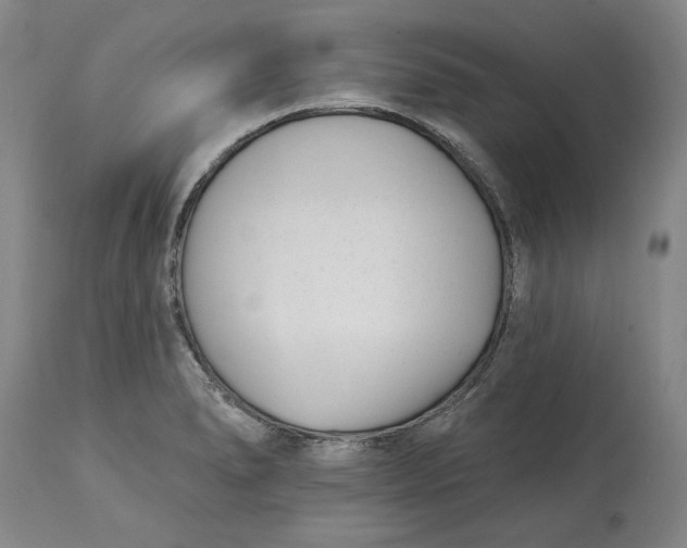 X0000114691278200911121510