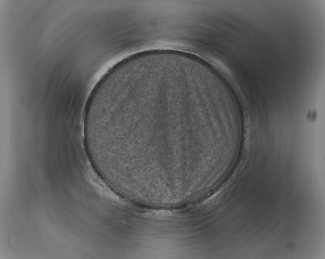 X0000114691280200911121510