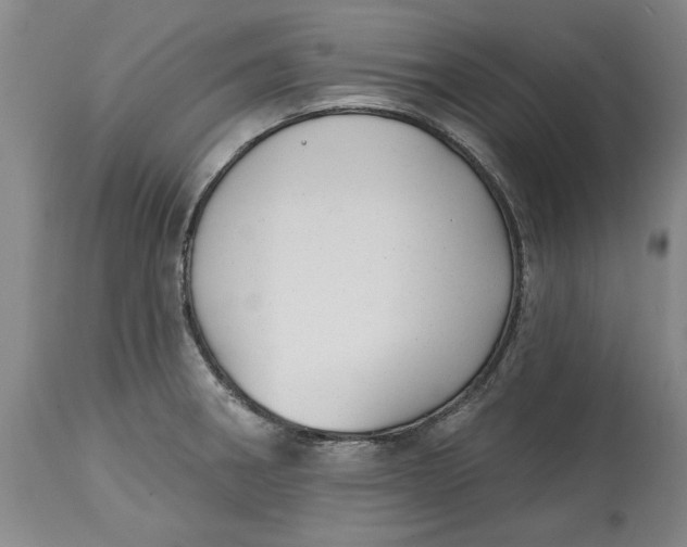 X0000114691282200911121510