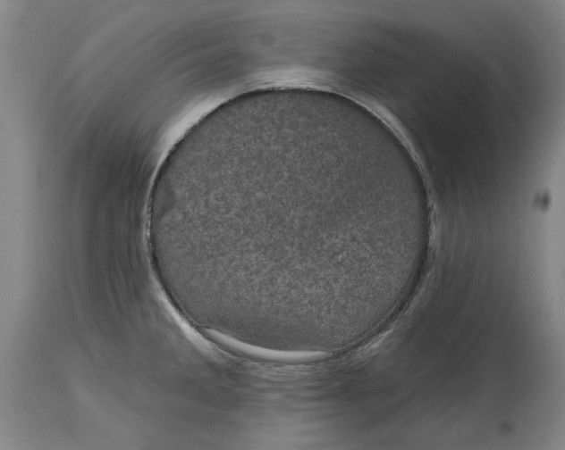 X0000114691285200911121510