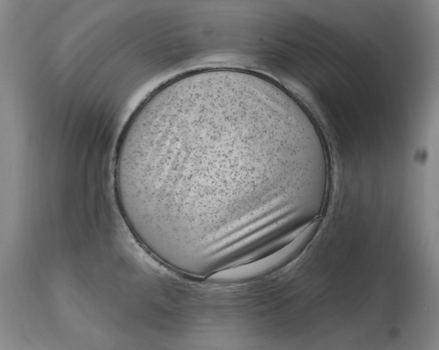 X0000114691288200911121510