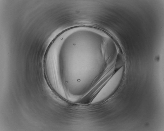 X0000114691291200911121510